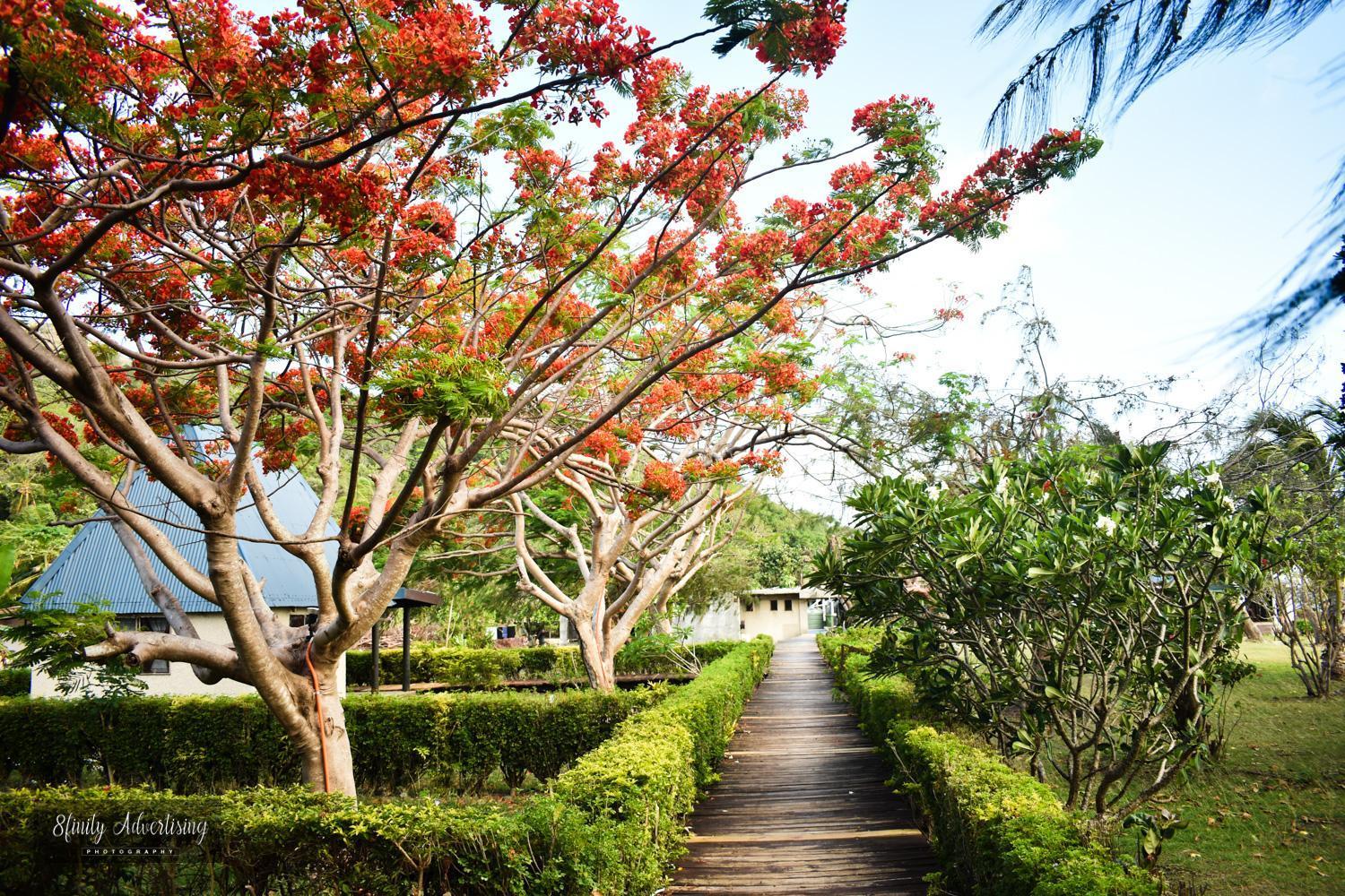 Coralview Island Resort Tavewa Island Exterior photo